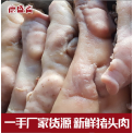 新鲜冷冻整只猪头肉批发猪脸肉生猪头半劈猪头土猪头半熟猪头 猪脸