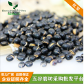 熟黑豆（黄心） 2斤/包 五谷现磨原料批发 现磨豆浆原料
